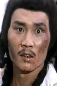 Sheng Wang